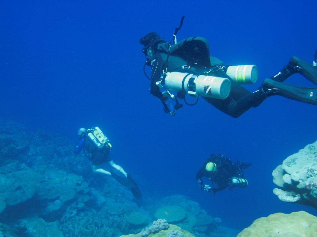 Rebreather and Sidemount Divers
