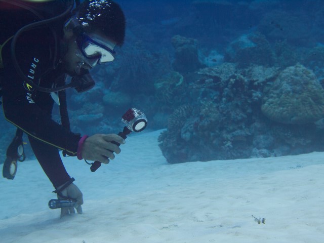 Gurtin w/ Video and Razorfish